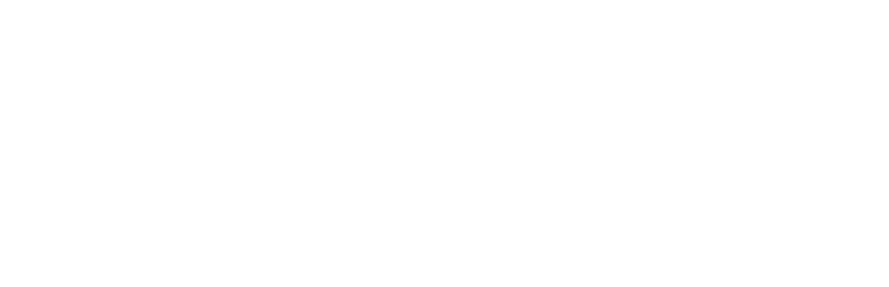 Welli